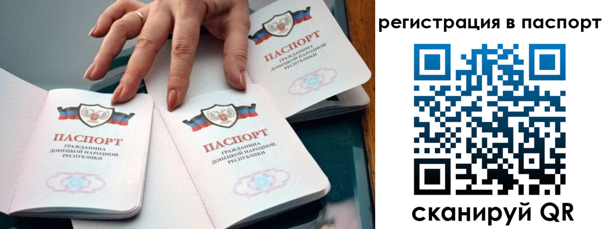 где прописаться в Палласовке